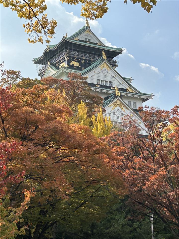 Osaka Castle main tower framed by red and orange autumn leaves