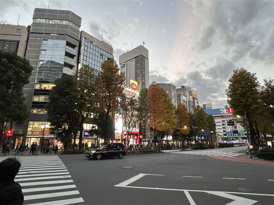 Ikebukuro street at dusk with autumn trees and the Rakuen Tower sign