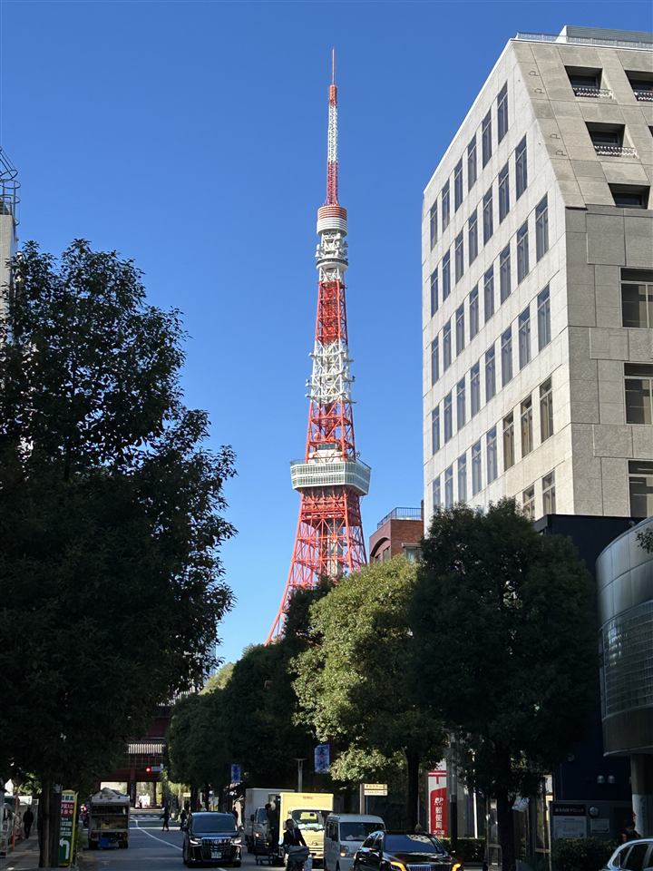 Tokyo Tower rising above trees and buildings on a clear day